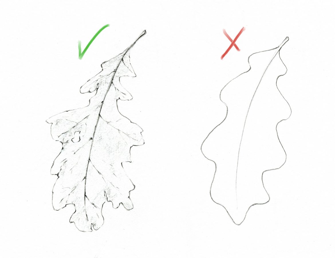 perfectly-imperfect How to draw realistic leaves